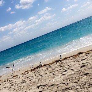 Meet your Posher, Jas